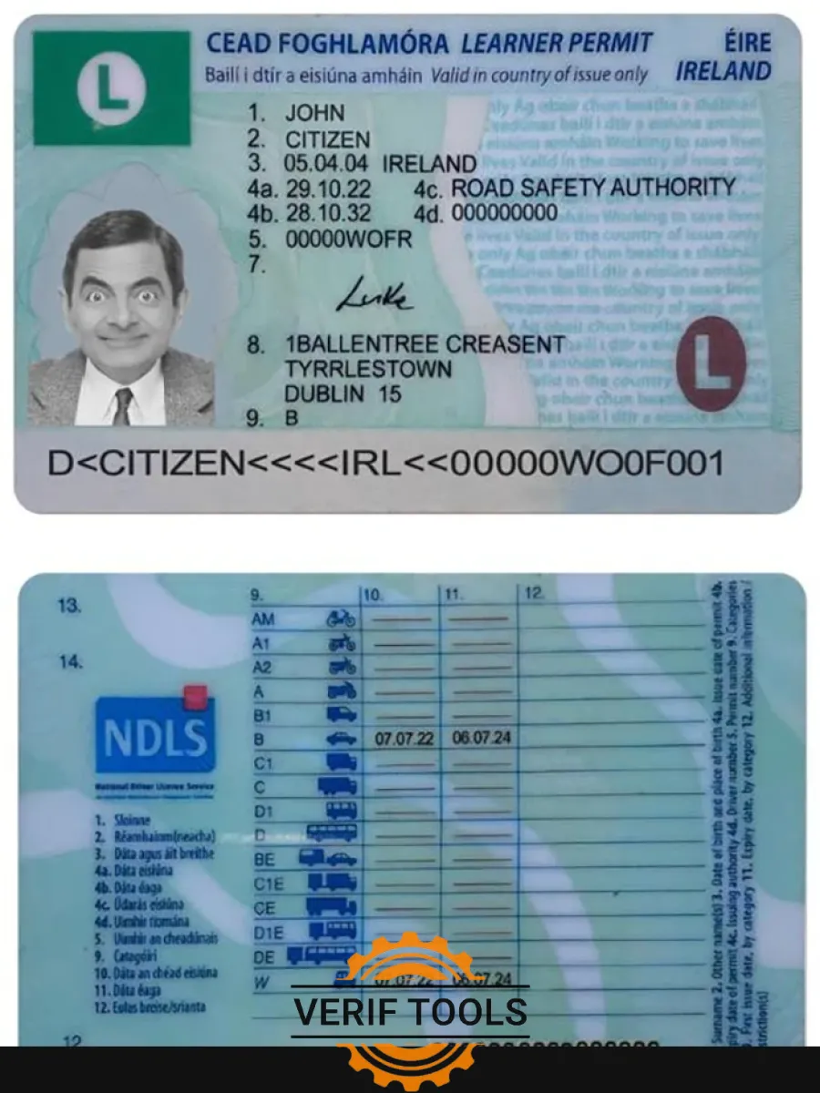 Ireland Driving License Learner Permit 2022 Present — Driver License