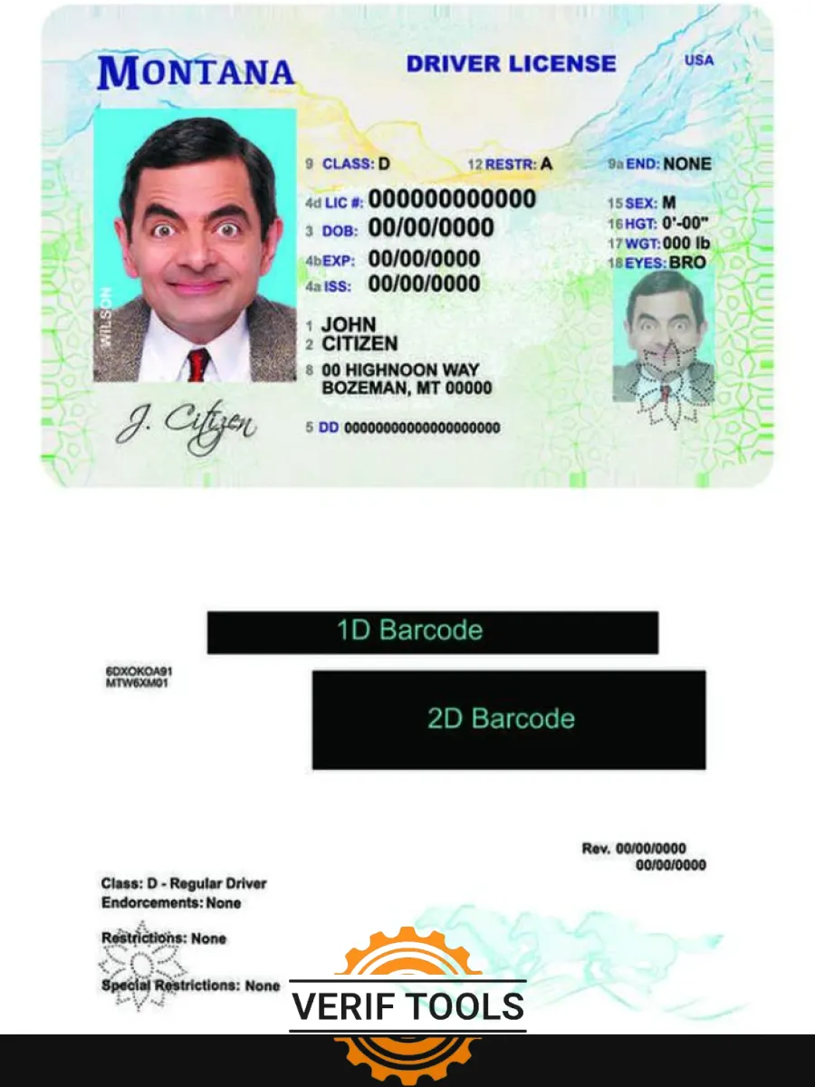 Usa Montana Driving License — Driver License