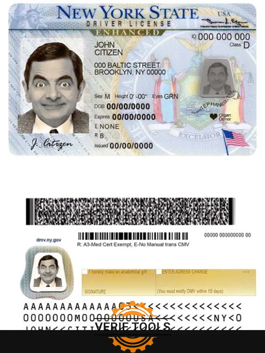 Usa New York Driving License — Driver License