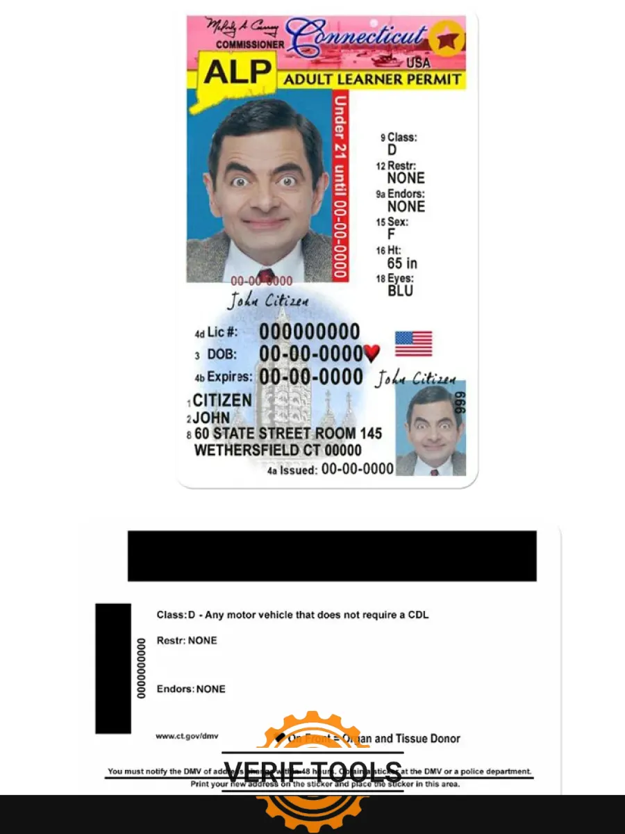 Usa Connecticut Driving License Under 21 — Driver License