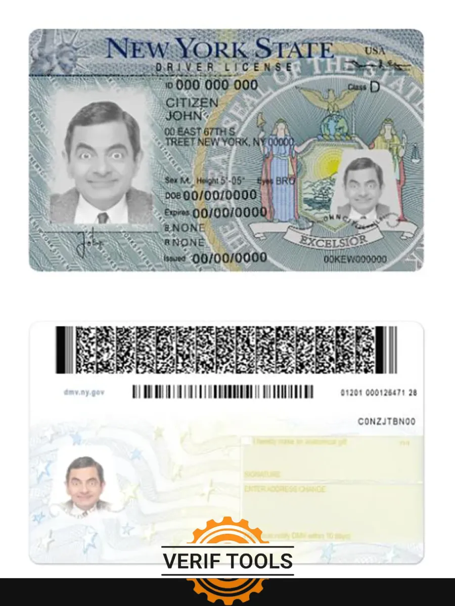New York Driving License Version 2 — Driver License