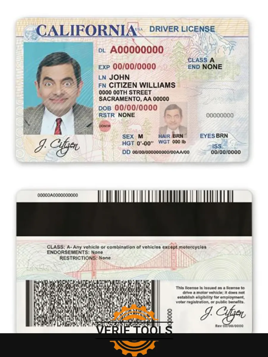 Usa State California Driver License — Driver License