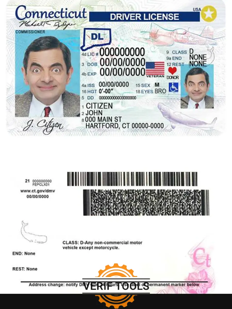 Usa Connecticut Driving License — Driver License
