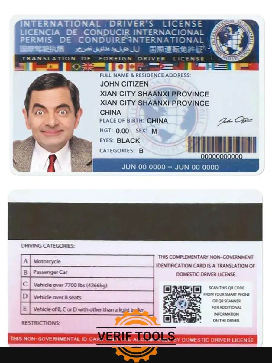 Internationaldl Version2 — Driver License