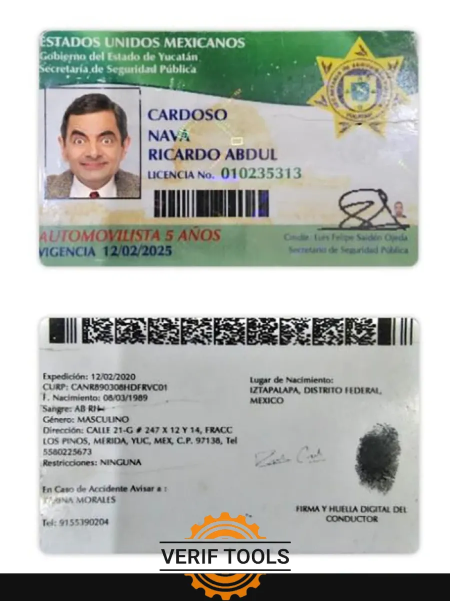 Mexico Yucatan State Driving License — Driver License