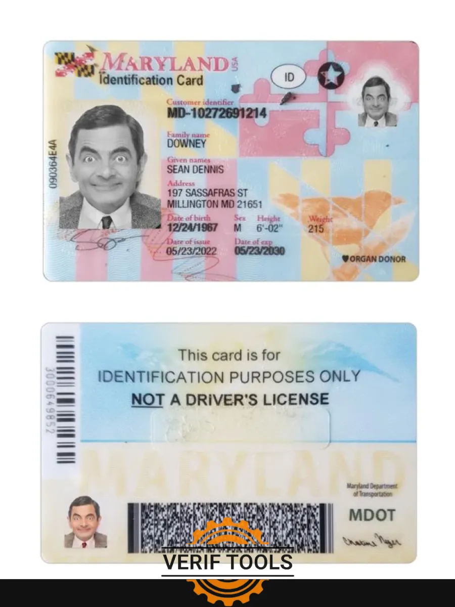 Usa Maryland Id Card — ID Cards