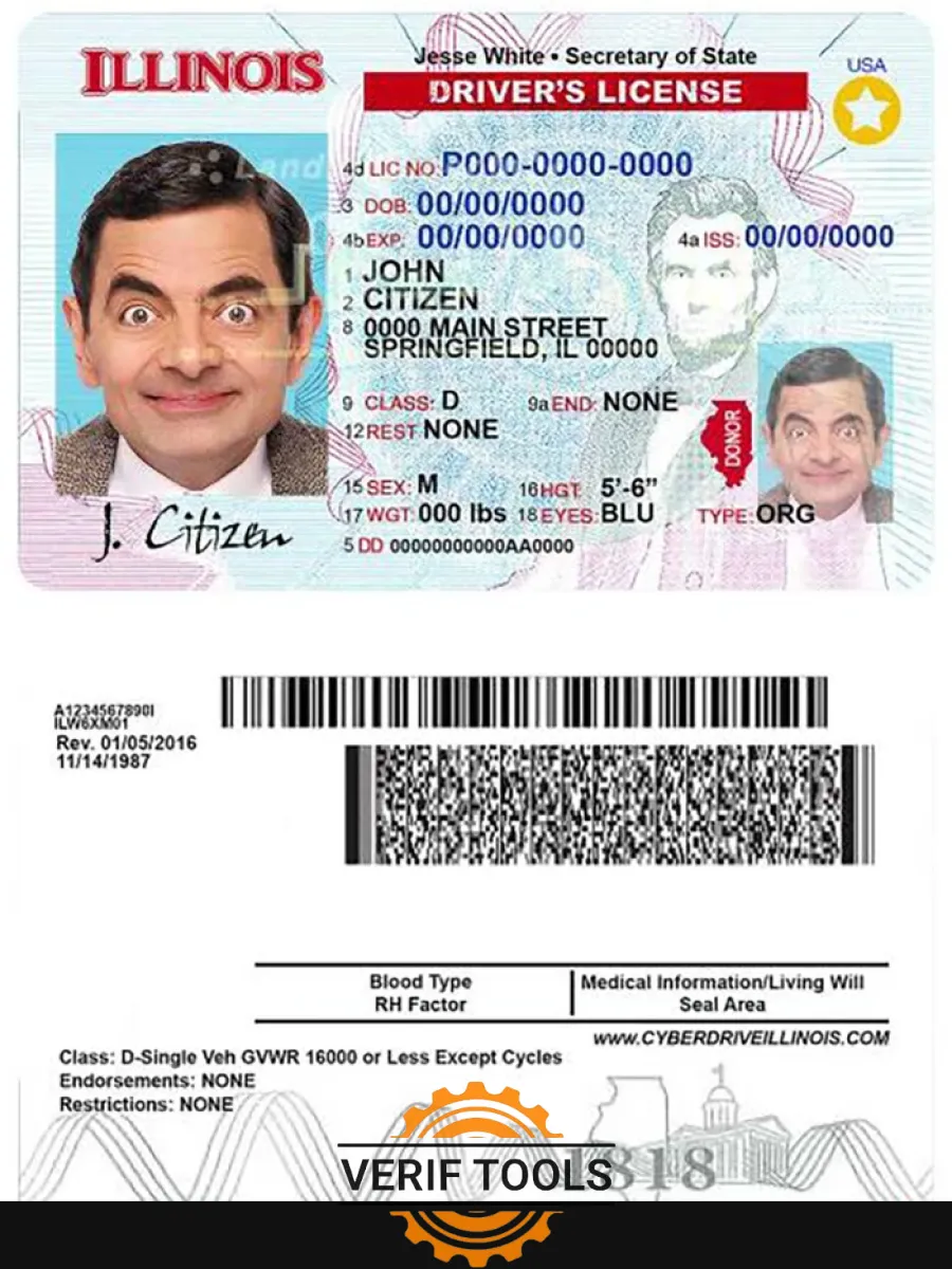 Usa Illinois Driving License