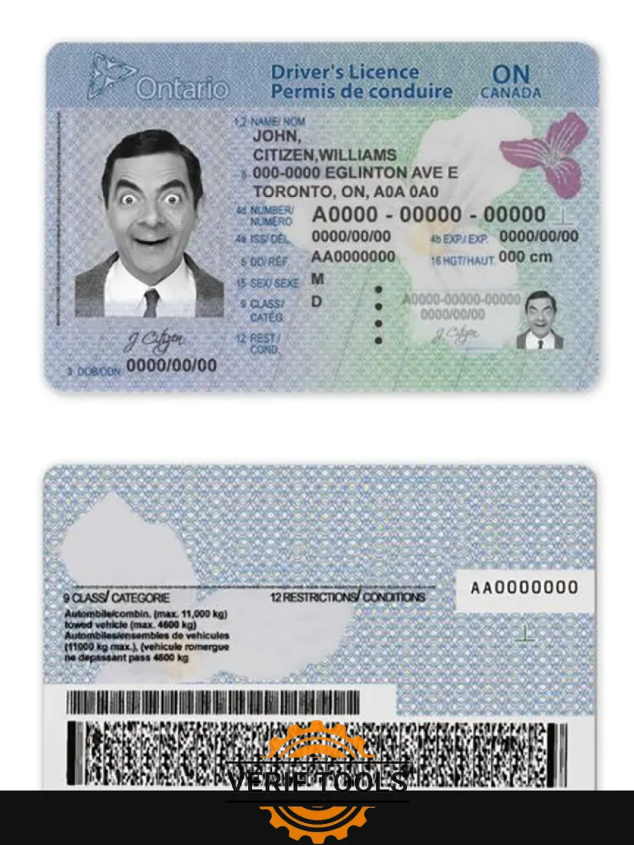 Canada Ontario Driving License Template In Psd Format2018Present — Driver License