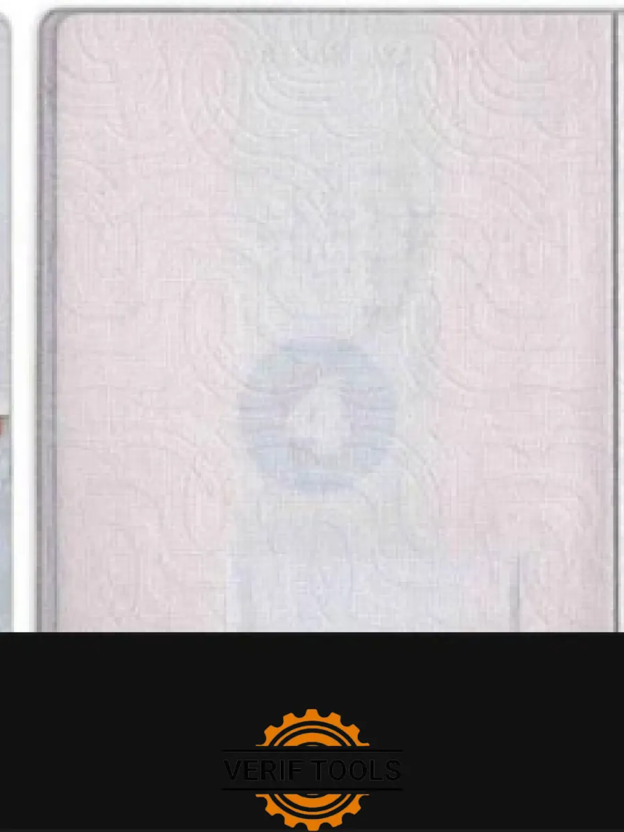 Russia Standard Passport — Passports