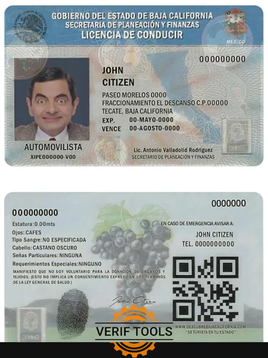 Mexico Baja California Driving License — Driver License
