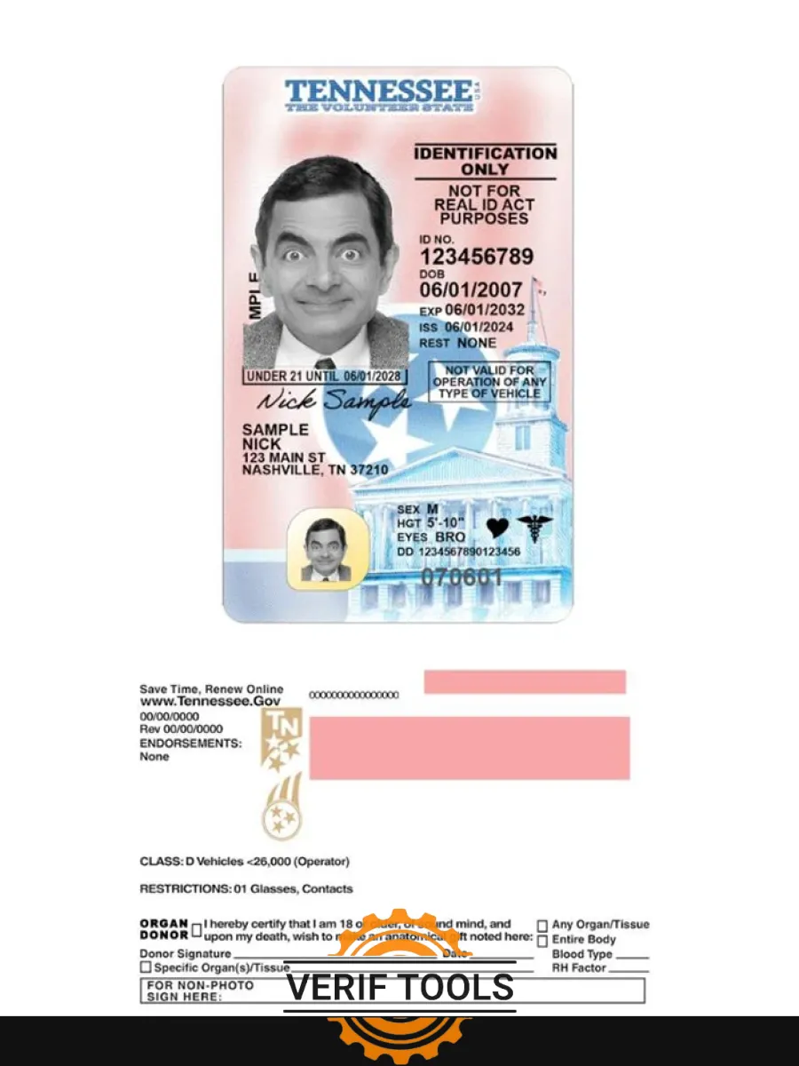 Usa Tennessee Under 21 Driving License 2024 Present — Driver License