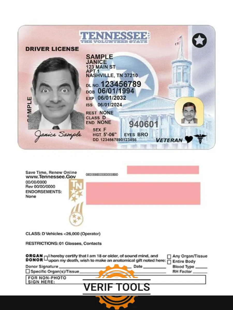 Usa Tennessee Driving License 2024 Present — Driver License