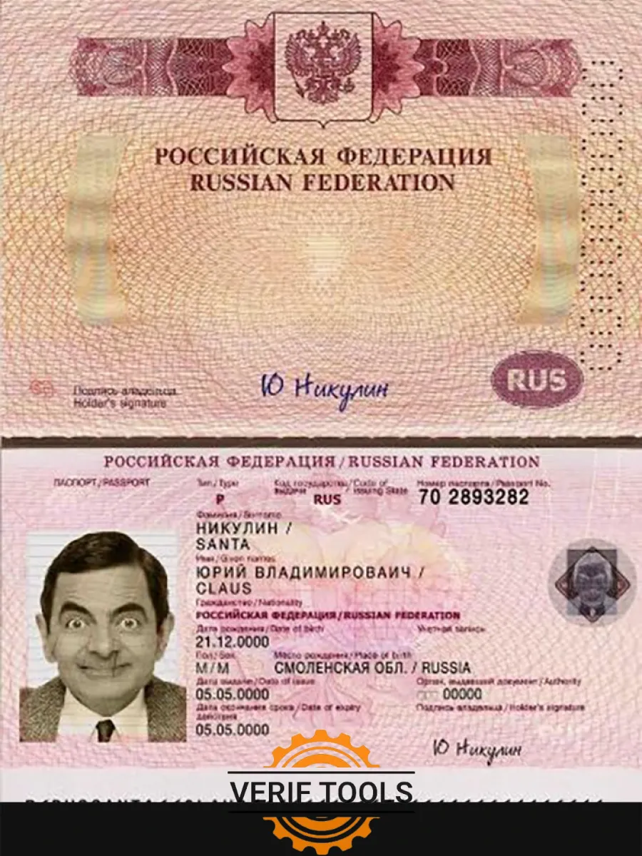 Russia Travel Passport — Passports