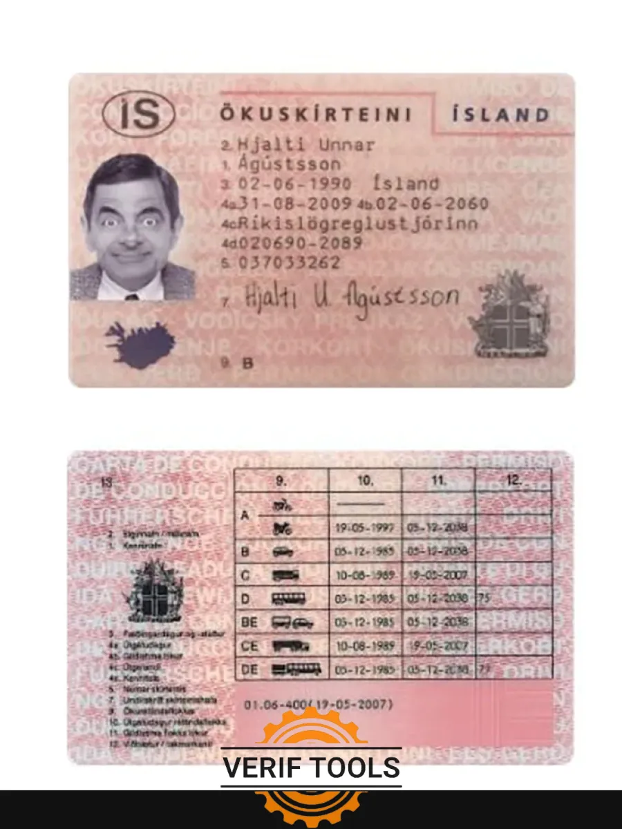 Iceland Driving License — Driver License
