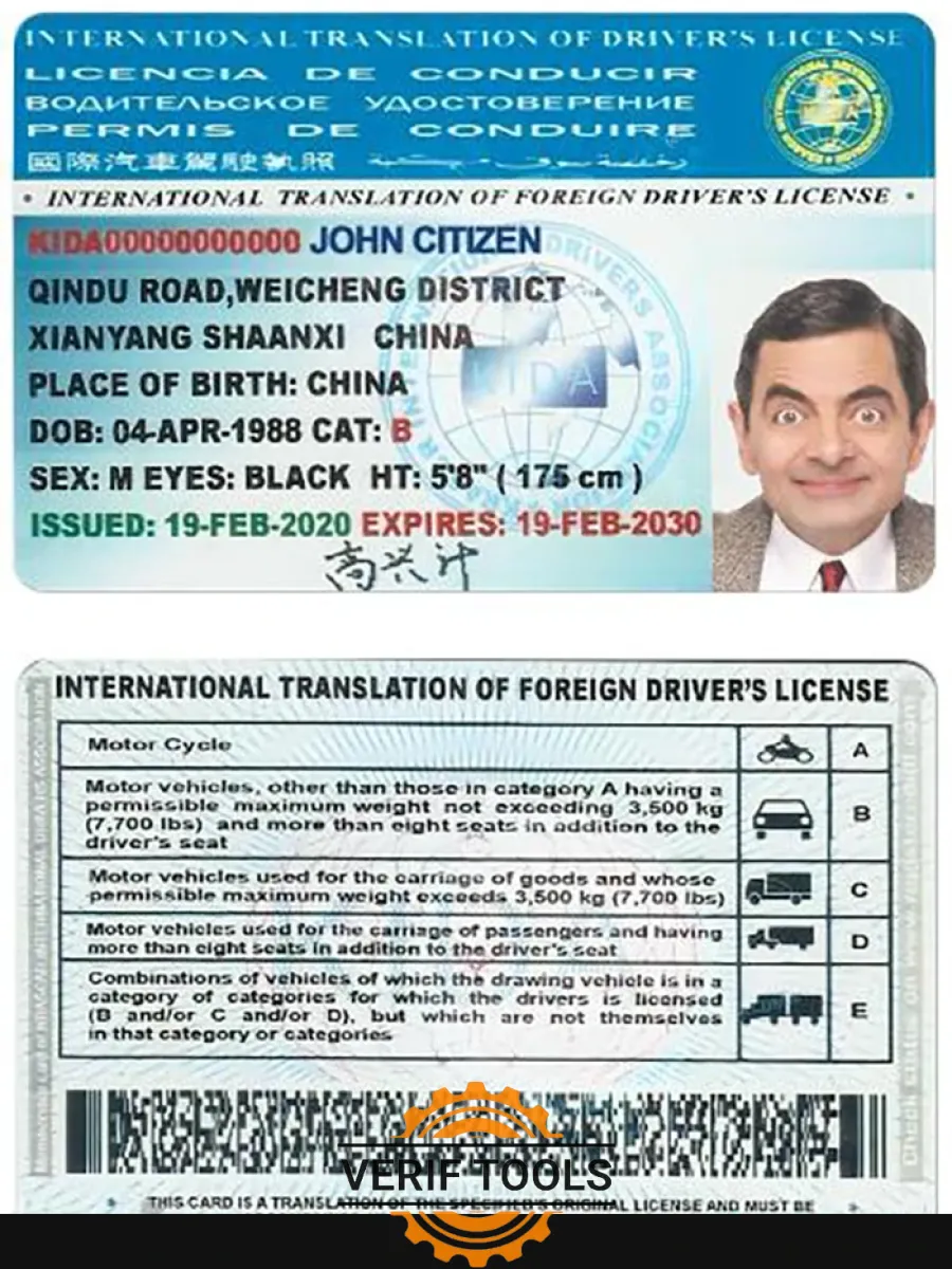 International Translation Of Drivers License — Driver License