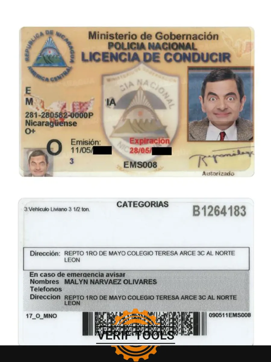 Nicaragua Driving License — Driver License
