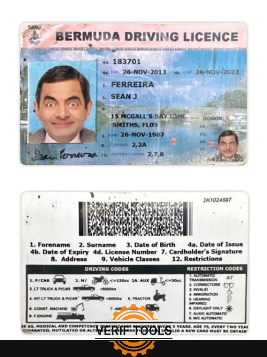 Bermuda Driving License — Driver License