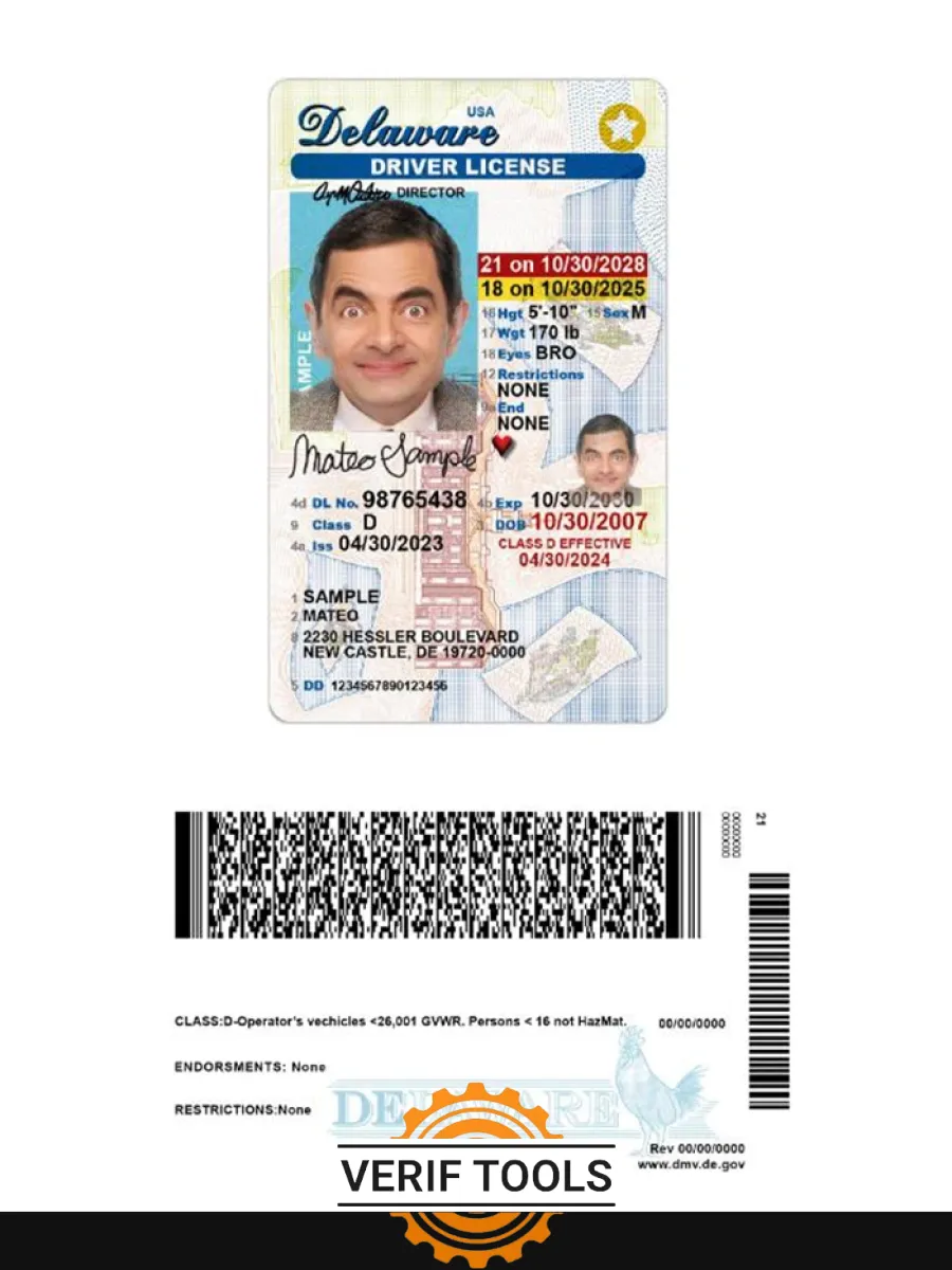 Usa Delaware Under 21 Driving License — Driver License